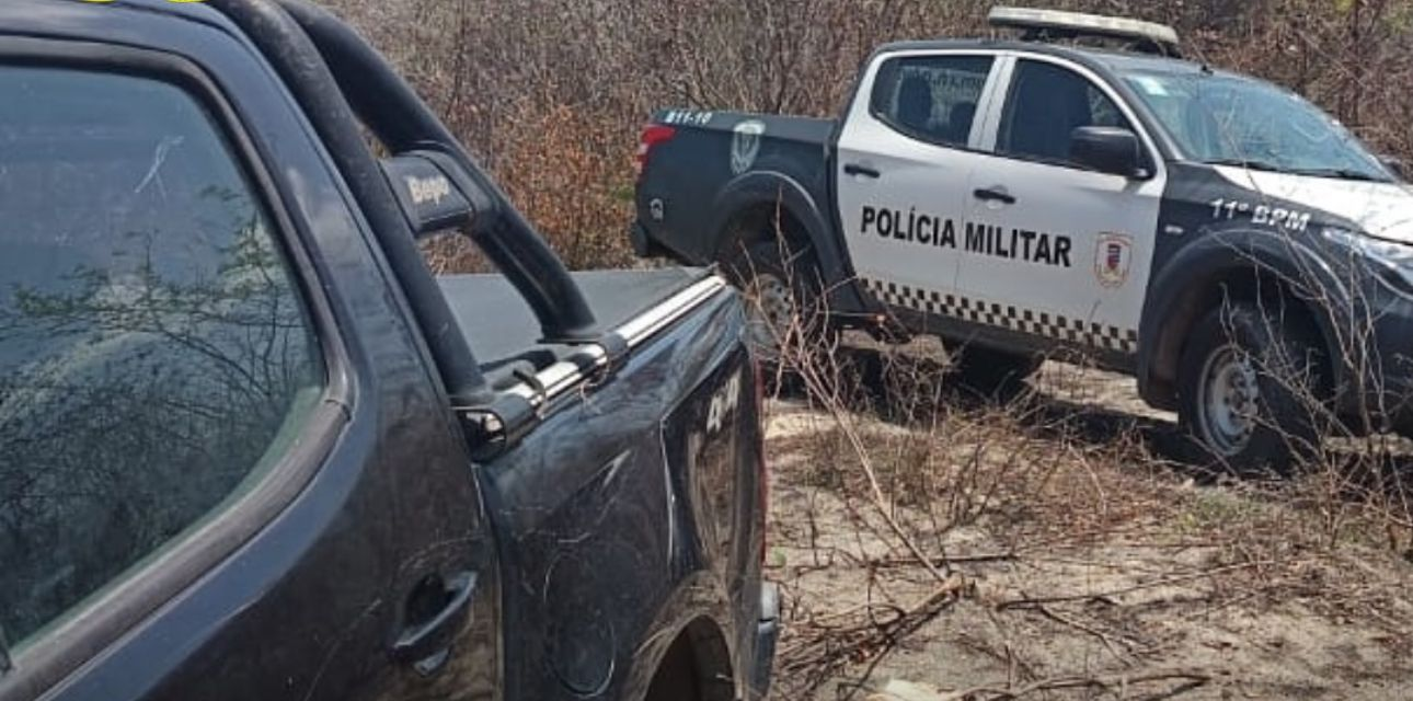 Segurança: Mais de 11 veículos desaparecem por dia no RN