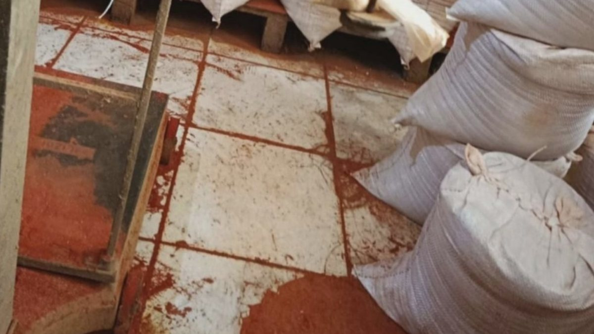 Vigilância Sanitária encontra fezes de rato em fábricas clandestinas de tempero na Bahia