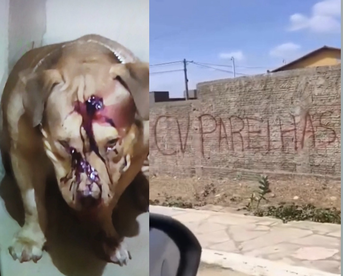 Guerra entre facções se espalha pelo RN e deixa Parelhas sob tensão