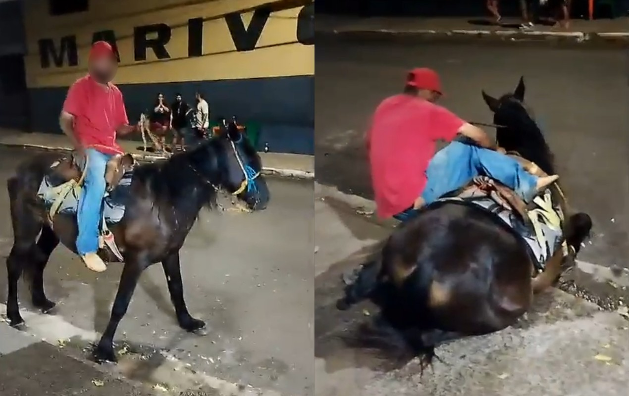 Revolta em Marília: cavalo cai de exaustão e caso vira investigação por maus-tratos