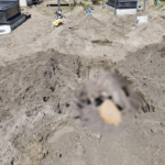 Túmulo é violado e corpo de jovem é incendiado em cemitério no interior do RN