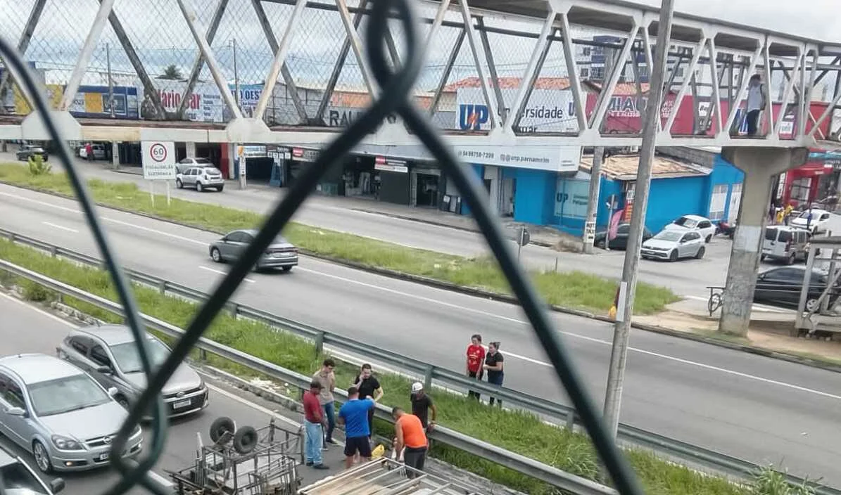 Reprodução