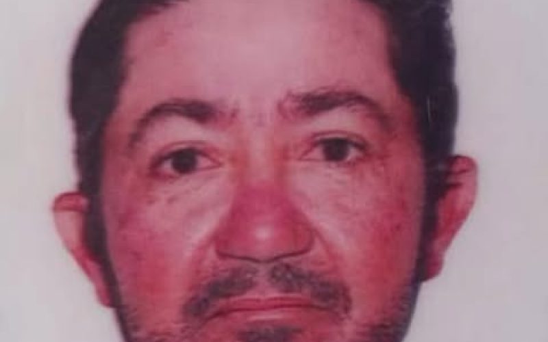 Homem Morre Após Ataque de Enxame de Abelhas no Interior do RN