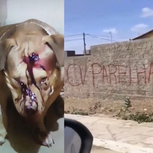 Guerra entre facções se espalha pelo RN e deixa Parelhas sob tensão