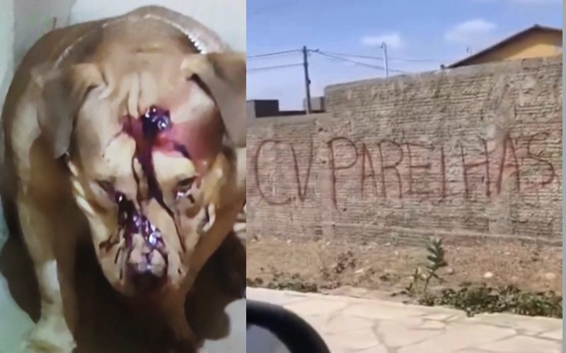 Guerra entre facções se espalha pelo RN e deixa Parelhas sob tensão