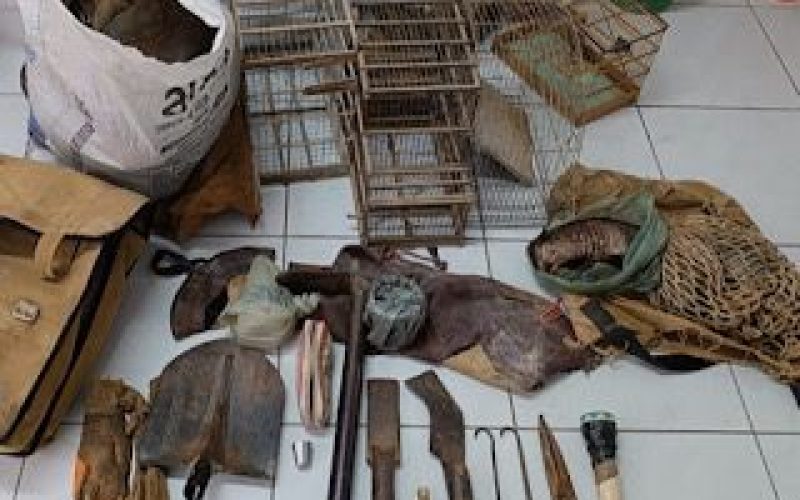 Polícia Militar combate caça ilegal na zona rural de Parelhas e apreende materiais
