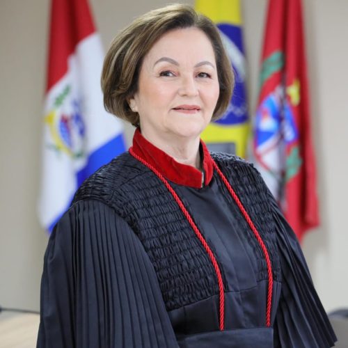 Passo histórico no combate às falsas denúncias: STJ define que Lei Maria da Penha só vale com provas