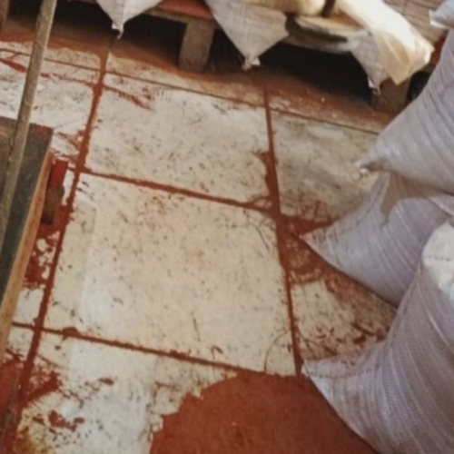 Vigilância Sanitária encontra fezes de rato em fábricas clandestinas de tempero na Bahia