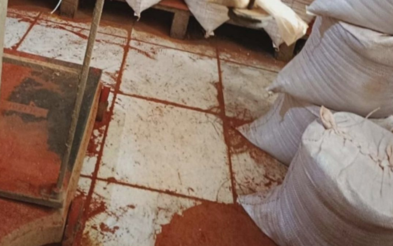 Vigilância Sanitária encontra fezes de rato em fábricas clandestinas de tempero na Bahia