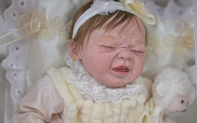 Casal tenta disputar guarda de boneca bebê reborn na Justiça, revela advogada