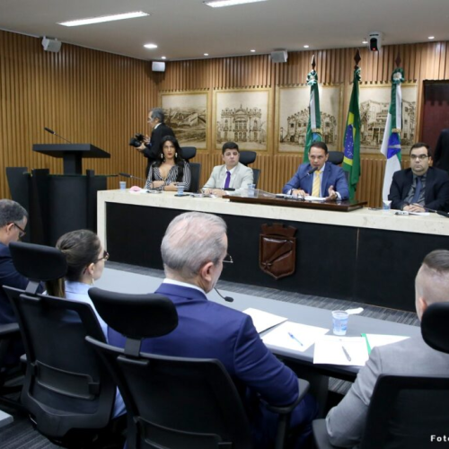 Foto: Elpídio Júnior/CMNAT
