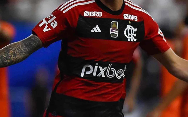 Governo suspende sites de apostas por falha em segurança; patrocinadora do Flamengo está na lista