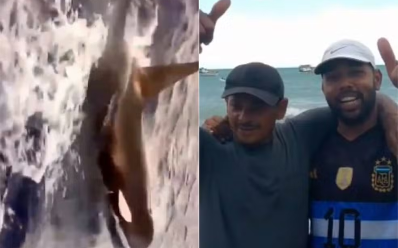 Vídeo: Orca é flagrada por pescadores no mar do RN e surpreende com aproximação