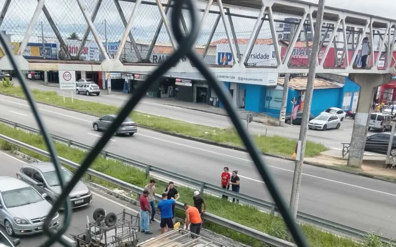 Reprodução
