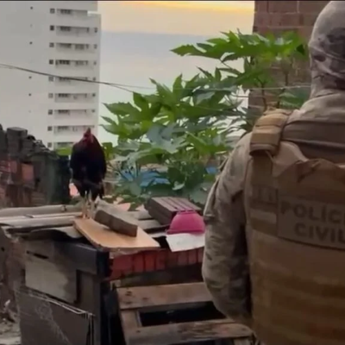 Forças de segurança deflagram nova fase da Operação Território Seguro em Mãe Luíza