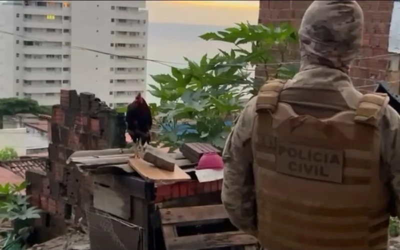 Forças de segurança deflagram nova fase da Operação Território Seguro em Mãe Luíza