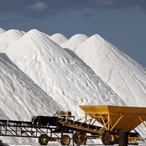 Tarifa dos EUA trava exportações de sal e atum do RN