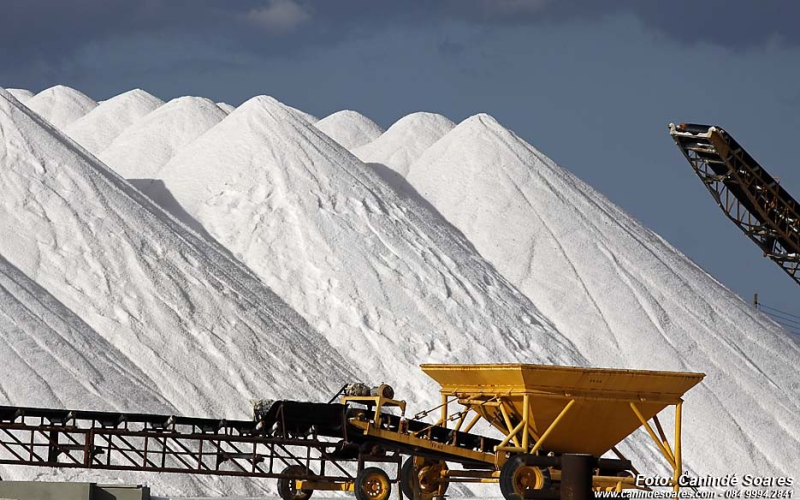 Tarifa dos EUA trava exportações de sal e atum do RN
