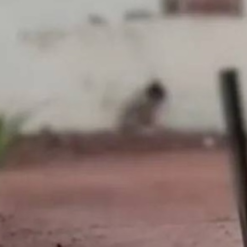 Três Crianças São Resgatadas de Maus-Tratos em Touros e Vão Morar com Tia em Natal