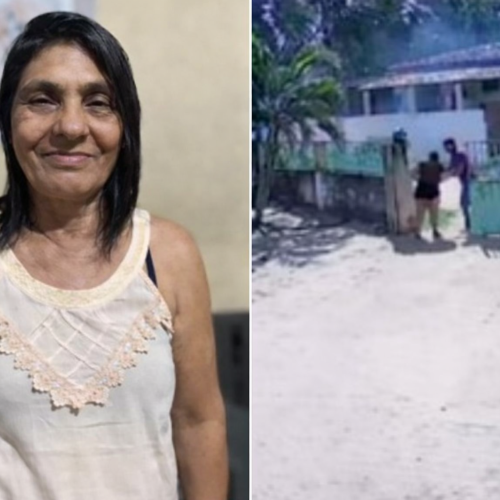 Idosa morre após ataque de abelhas em São José de Mipibu; bebê de 8 meses é internada