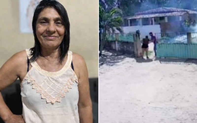 Idosa morre após ataque de abelhas em São José de Mipibu; bebê de 8 meses é internada