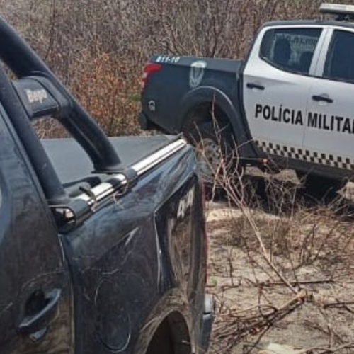 Segurança: Mais de 11 veículos desaparecem por dia no RN