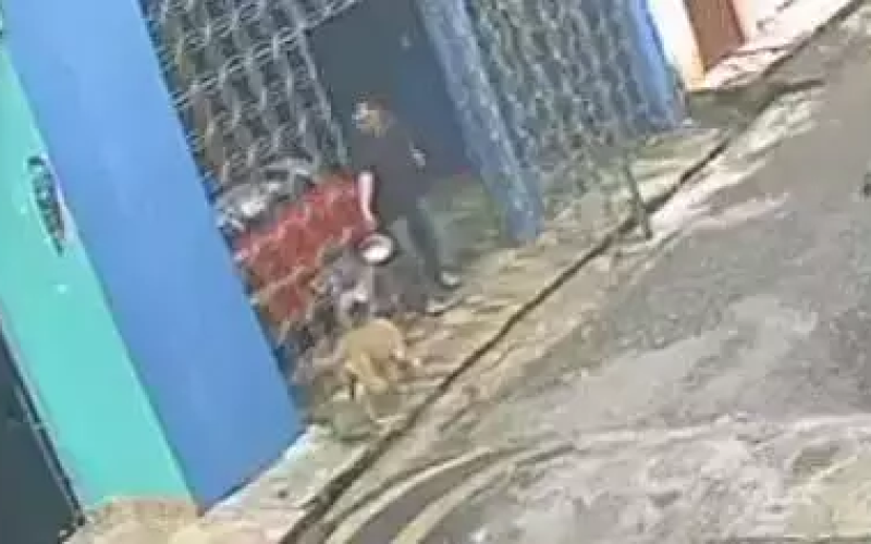 ​Homem é flagrado jogando água quente em cachorro