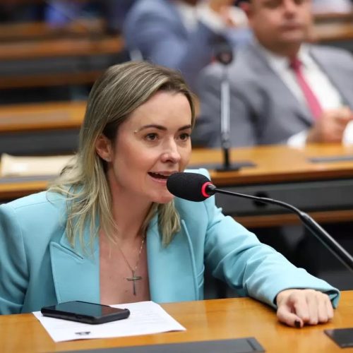 Júlia Zanatta propõe ampliar Lei Maria da Penha para proteger homens vítimas de violência doméstica