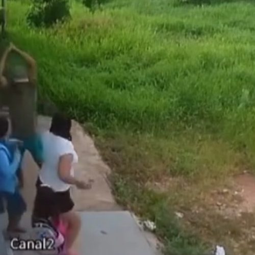 Mulher é morta a golpes de foice por vizinho enquanto levava os filhos para a escola no Maranhão