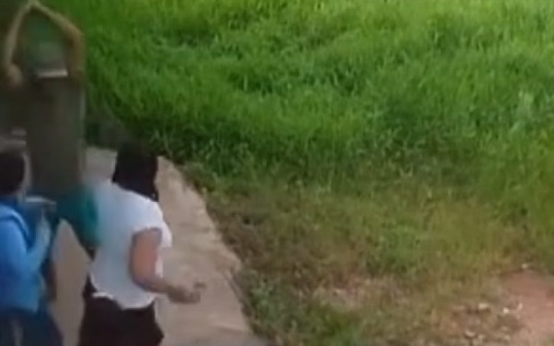 Mulher é morta a golpes de foice por vizinho enquanto levava os filhos para a escola no Maranhão