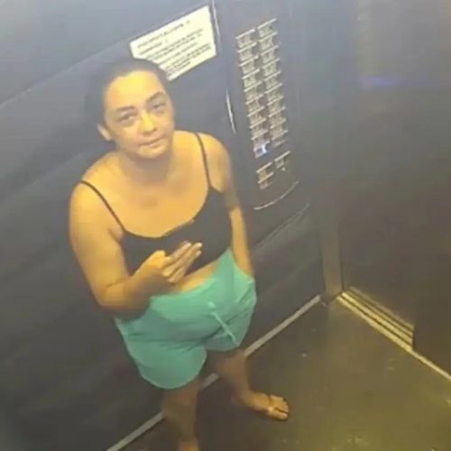 Corpo de corretora desaparecida há mais de um mês é encontrado; pai e filho são presos suspeitos do crime