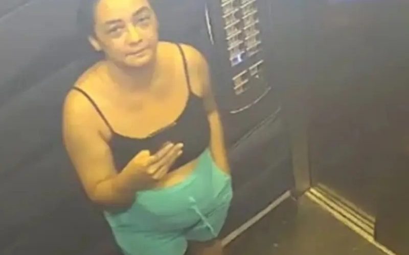 Corpo de corretora desaparecida há mais de um mês é encontrado; pai e filho são presos suspeitos do crime