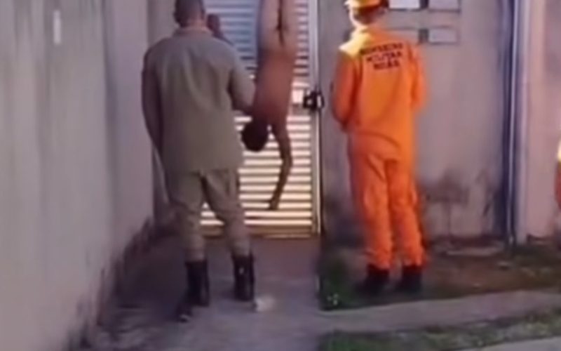 Homem fica nu e preso de cabeça para baixo ao tentar invadir condomínio da ex namorada