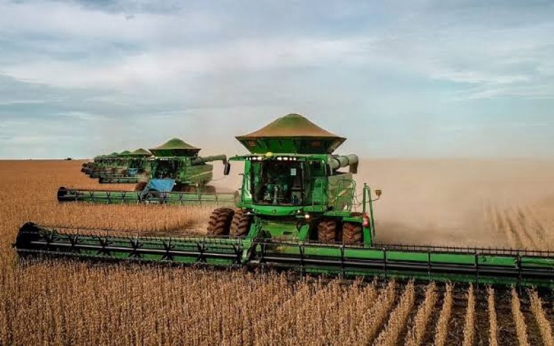 Agropecuária cresce 12,2% no 1º trimestre de 2025 e impulsiona avanço do PIB