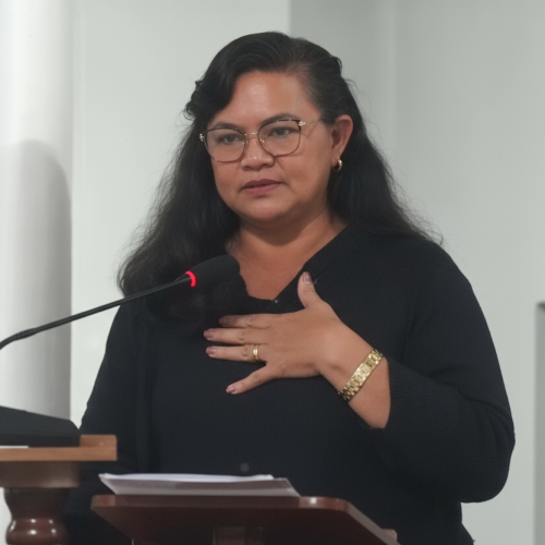 Vereadora do AM causa revolta ao defender violência contra mulher em sessão da Câmara